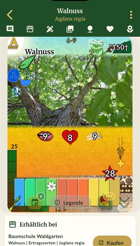 The same walnut in the app today: profile with the same colour bars and symbols