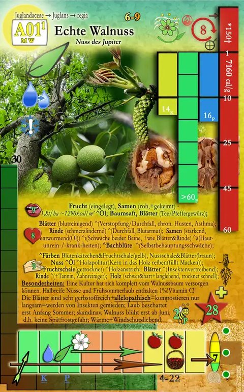 The walnut card with yield bars, symbols and notes on use