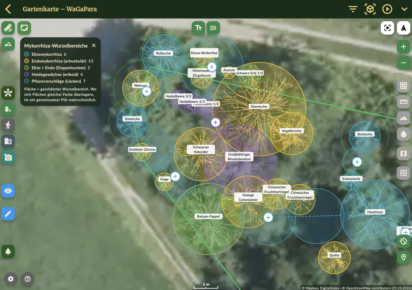 Carte de jardin Permaplans avec le calque Zones racinaires des mycorhizes : cercles racinaires colorés pour chaque arbre ou arbuste (ecto, endo, double système et éricacées) sur la photo aérienne, avec des signes plus qui proposent des plantes pour combler les vides
