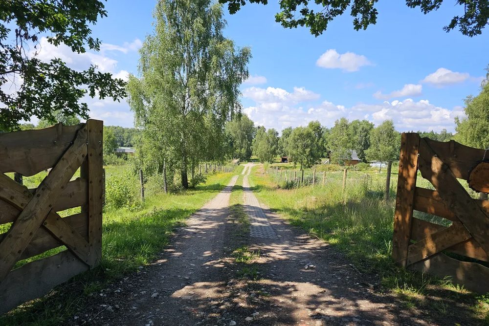 Open wooden gate at the entrance to a settlement, a track running between birches and meadows